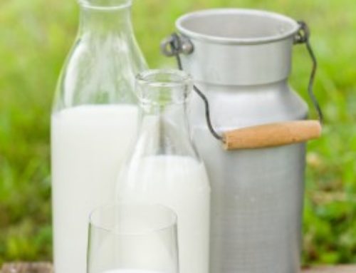 Is Dairy Bad For You? You Might Be Surprised
