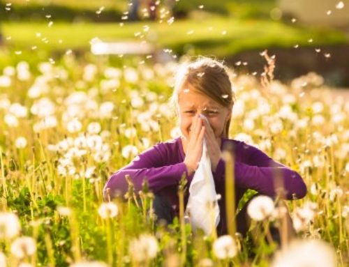 How to Cope with Seasonal Allergies