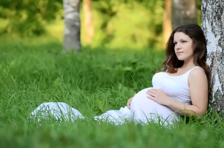 The Environment's Role in Fertility